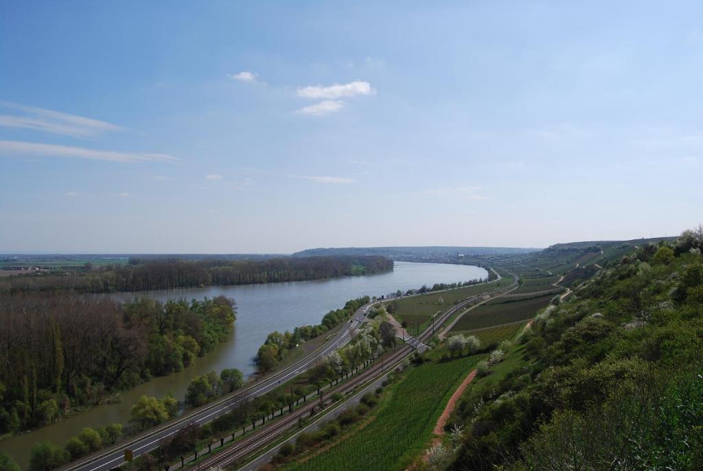 Landhotel St. Gereon Nackenheim Exteriör bild